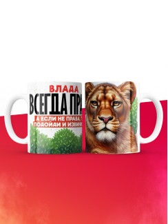 Кружка Влада всегда права
