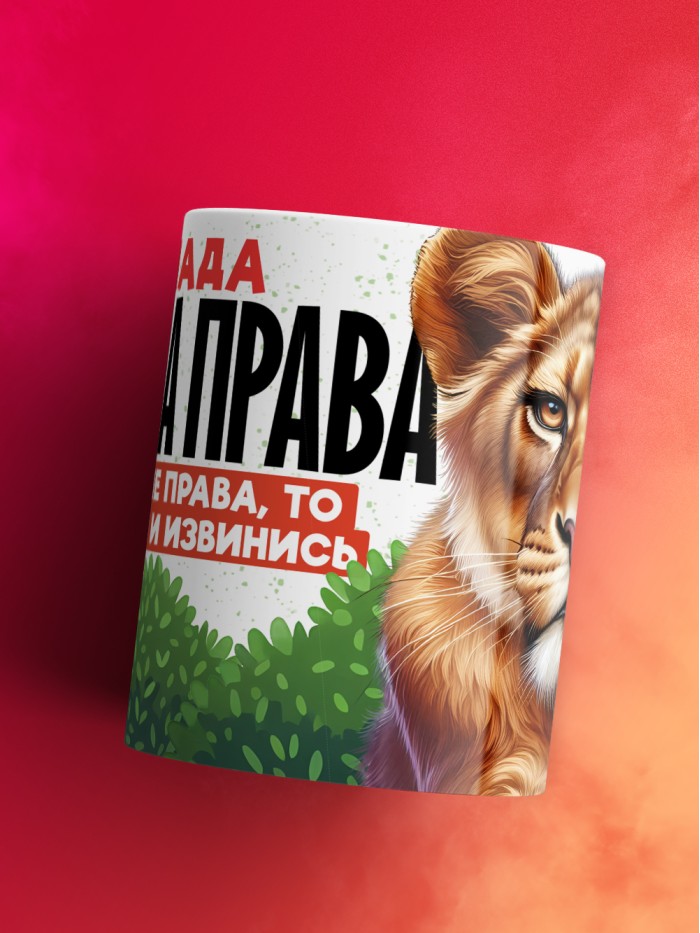Кружка Влада всегда права  Иннополис