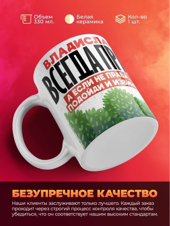 Кружка Владислава всегда права  Иннополис