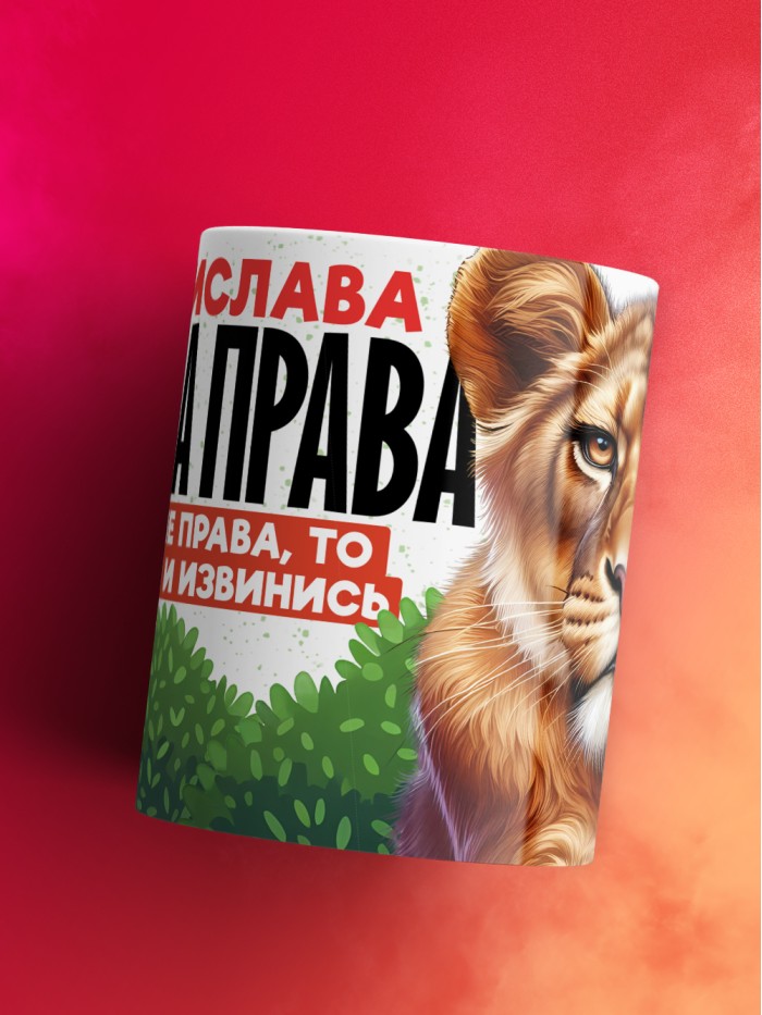 Кружка Владислава всегда права  Иннополис