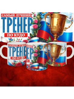 Кружка с принтом: Самый лучший тренер по По Кудо, белая, 330 мл