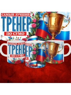 Кружка с принтом: Самый лучший тренер по По Сумо, белая, 330 мл
